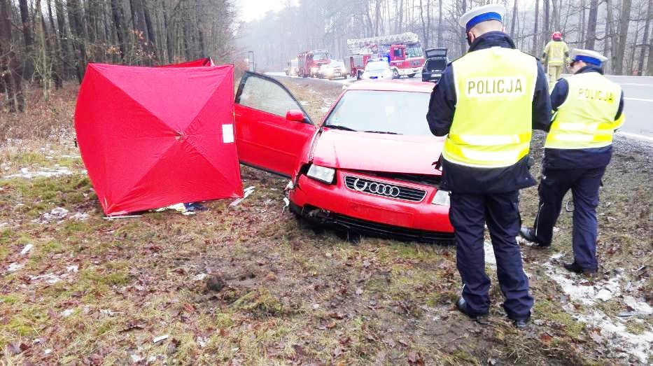 Policja poszukuje świadków śmiertelnego wypadku w Wełnie