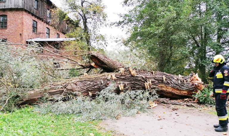 Porywisty wiatr połamał drzewa i wyrządził wiele szkód