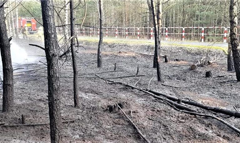 Pożar lasu w Kiszewie