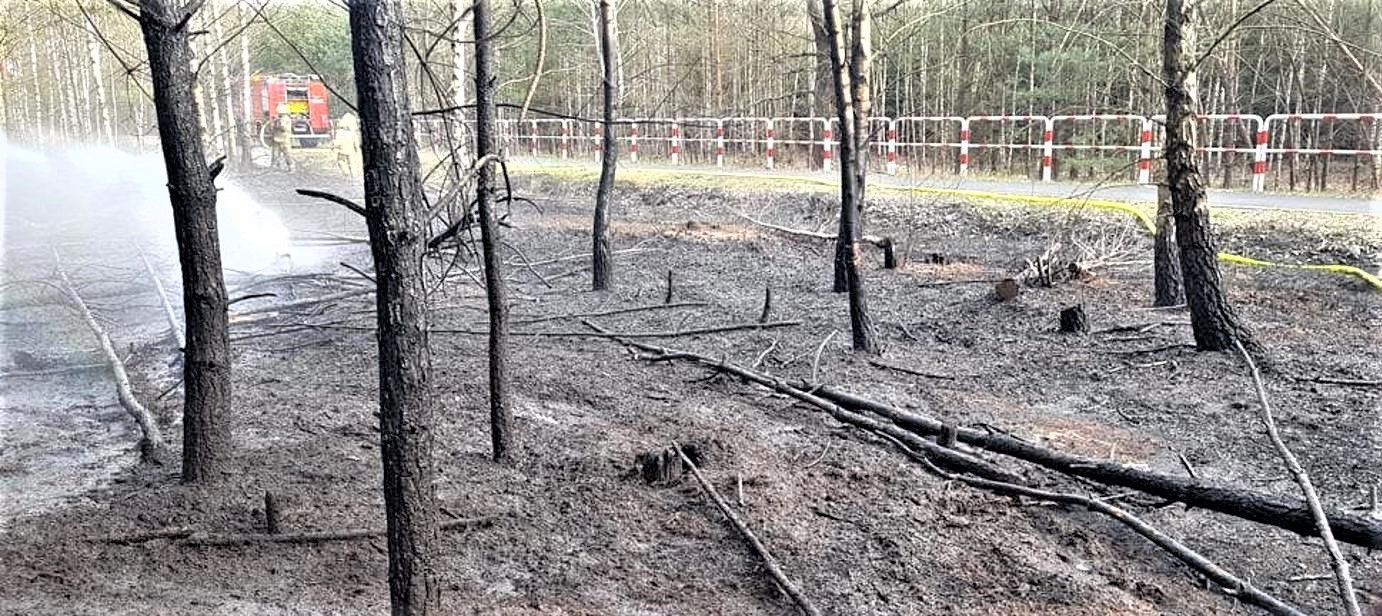 Pożar lasu w Kiszewie