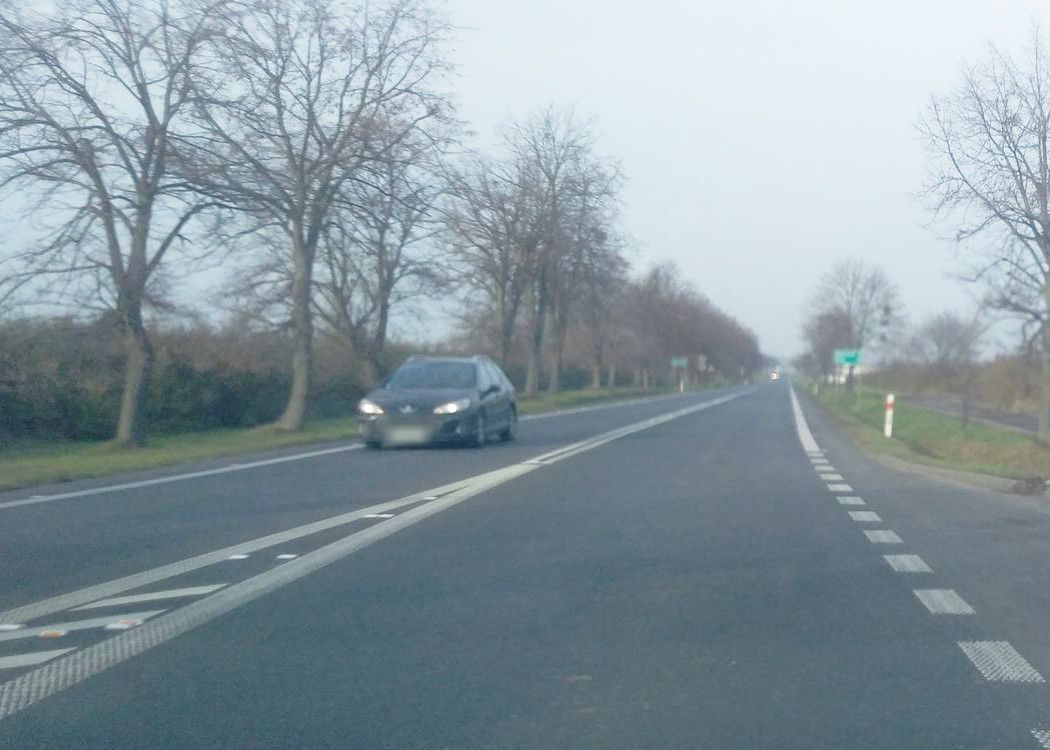 Ścieżka rowerowa z Bogdanowa do Ocieszyna, wzdłuż DK11