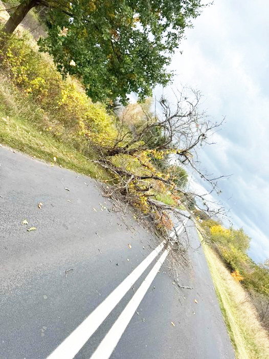 Silne wiatry w powiecie obornickim:  strażacy w akcji