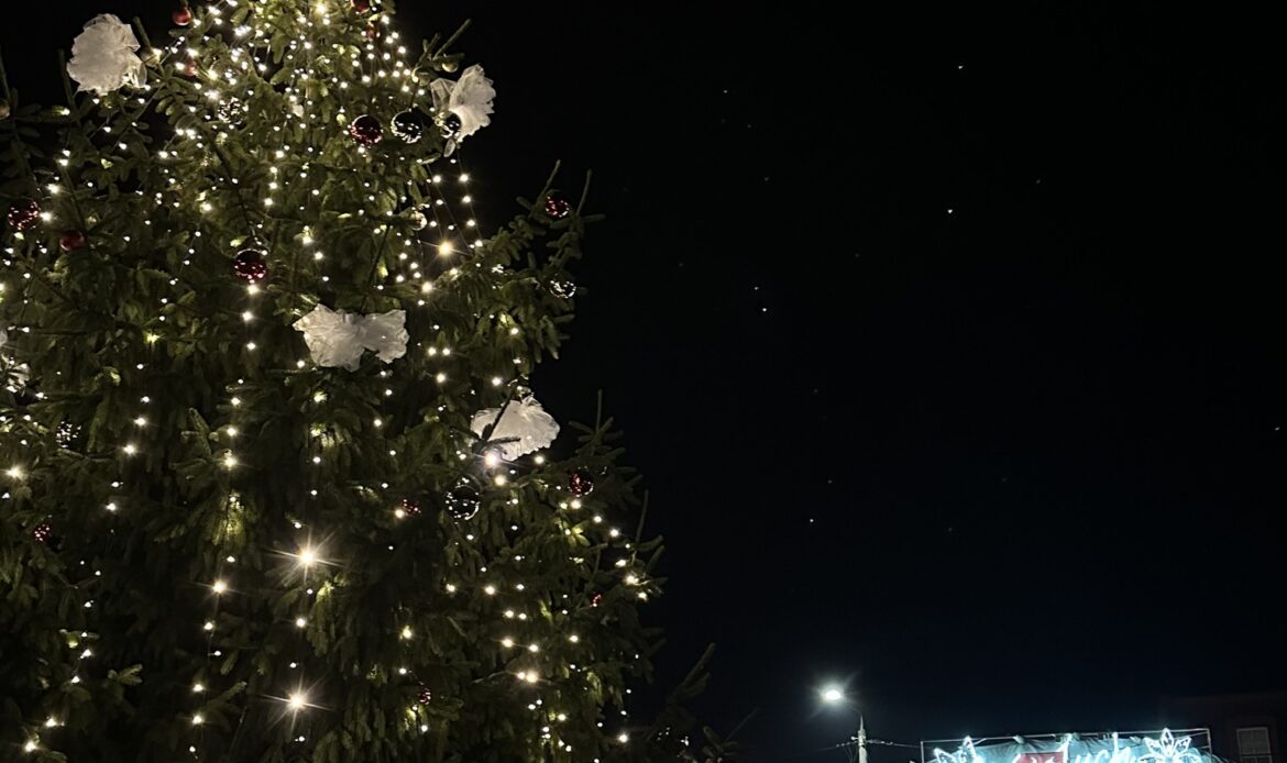 Choinka, która połączyła ludzi. Świąteczna historia z Ryczywołu