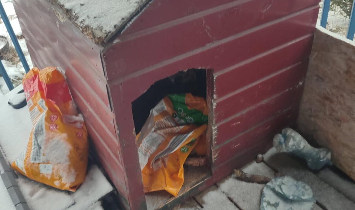 Pierwsza „ofiara mrozów” w powiecie obornickim? Sprawą zajmą się biegli