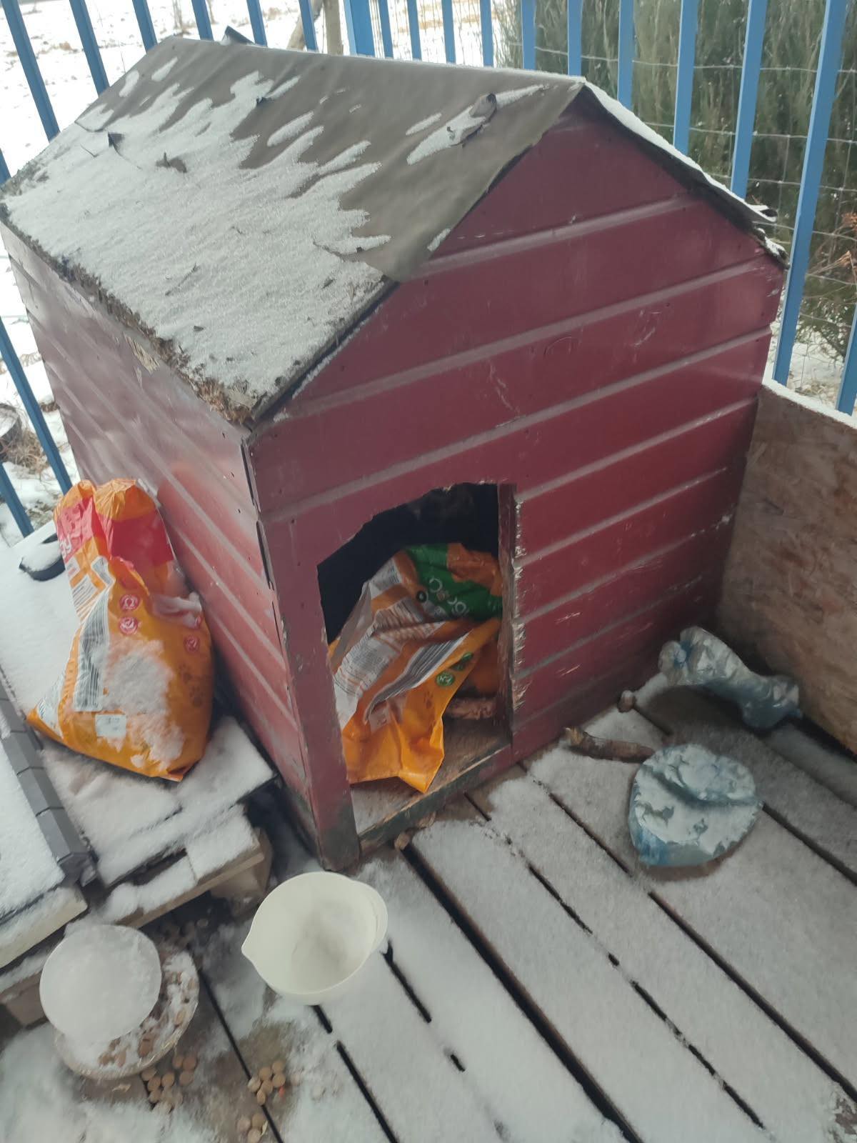 Pierwsza „ofiara mrozów” w powiecie obornickim? Sprawą zajmą się biegli