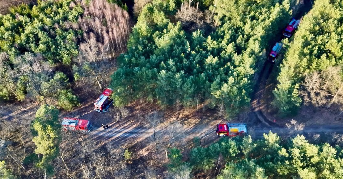 Pożar lasu w Parkowie. Ogień objął kilka tysięcy metrów poszycia